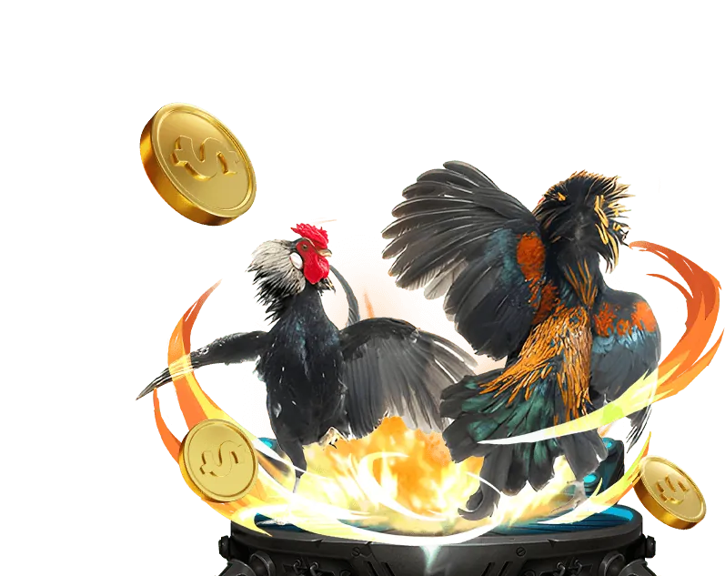 Cam kết cờ bạc có trách nhiệm của 333win68